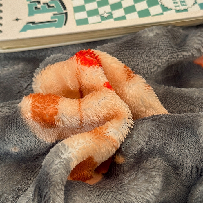 91家纺网 家纺一手货源 找家纺 绣女坊 2025新款A类高克重牛奶绒泡泡绒印花床单单件冬季保暖毛绒毯子绒床单三件套 星星小熊