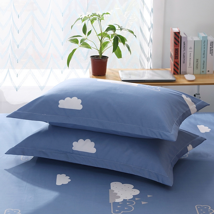 91家纺网 家纺一手货源 找家纺 笠裙家纺 2025新款A类水洗棉韩版S边花边印花床裙四件套 漫步云端