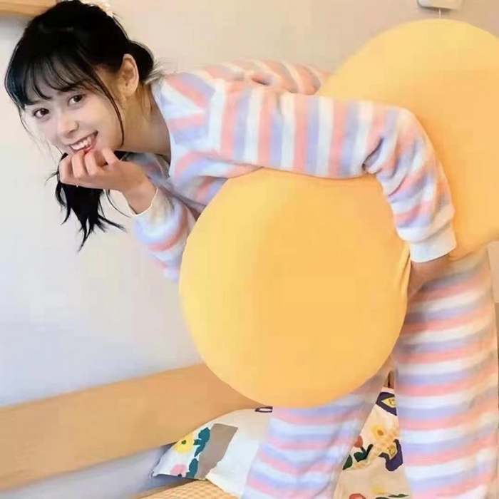 91家纺网 家纺一手货源 找家纺 （总）佳梦达 2025新款猫肚枕枕头枕芯