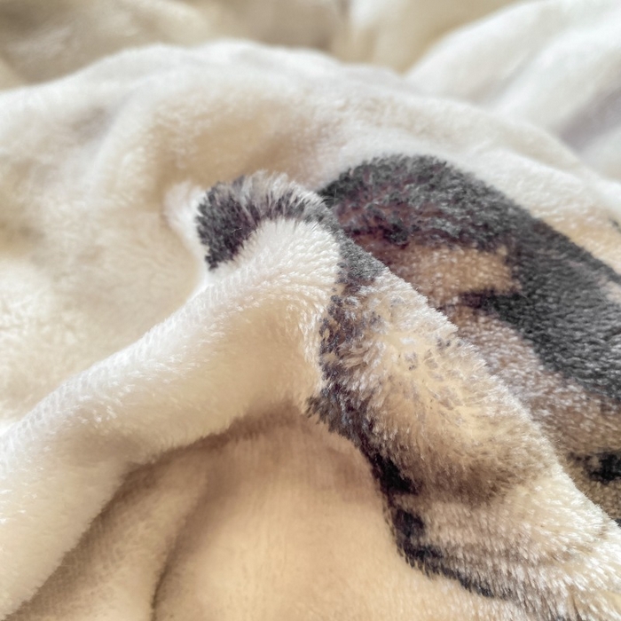 91家纺网 家纺一手货源 找家纺 梦纤绒 2025新款保暖舒适亲肤泡泡绒四件套 蝶影灰