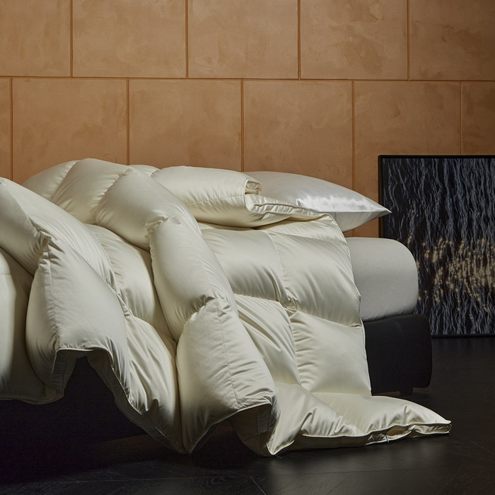 91家纺网 家纺一手货源 找家纺 暖羽屋羽绒馆 2025新款莱赛尔鹅绒丝被子 羽绒被芯 2米羽绒被子 双人婚庆春秋被卡尔佩斯系列    X卡尔佩斯   米色