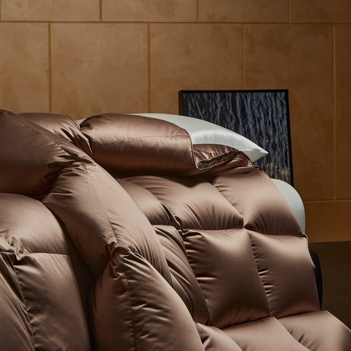 91家纺网 家纺一手货源 找家纺 暖羽屋羽绒馆 2025新款莱赛尔鹅绒丝被子 羽绒被芯 2米羽绒被子 双人婚庆春秋被卡尔佩斯系列    X卡尔佩斯  棕色