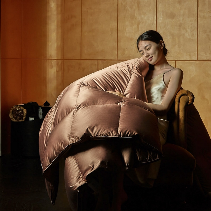 暖羽屋羽绒馆 2025新款莱赛尔鹅绒丝被子 羽绒被芯 2米羽绒被子 双人婚庆春秋被卡尔佩斯系列    X卡尔佩斯  棕色