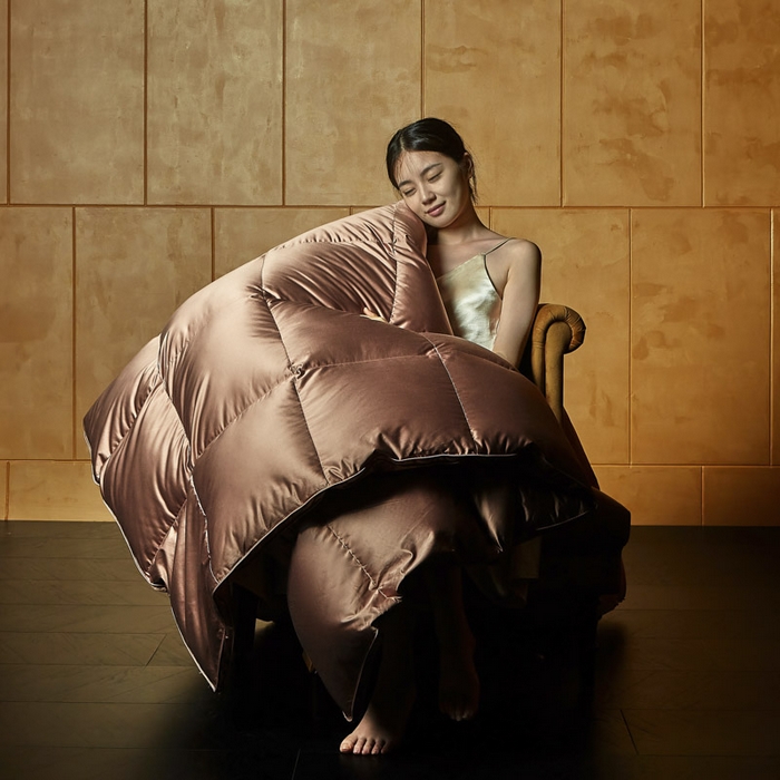 91家纺网 家纺一手货源 找家纺 暖羽屋羽绒馆 2025新款莱赛尔鹅绒丝被子 羽绒被芯 2米羽绒被子 双人婚庆春秋被卡尔佩斯系列    X卡尔佩斯  棕色