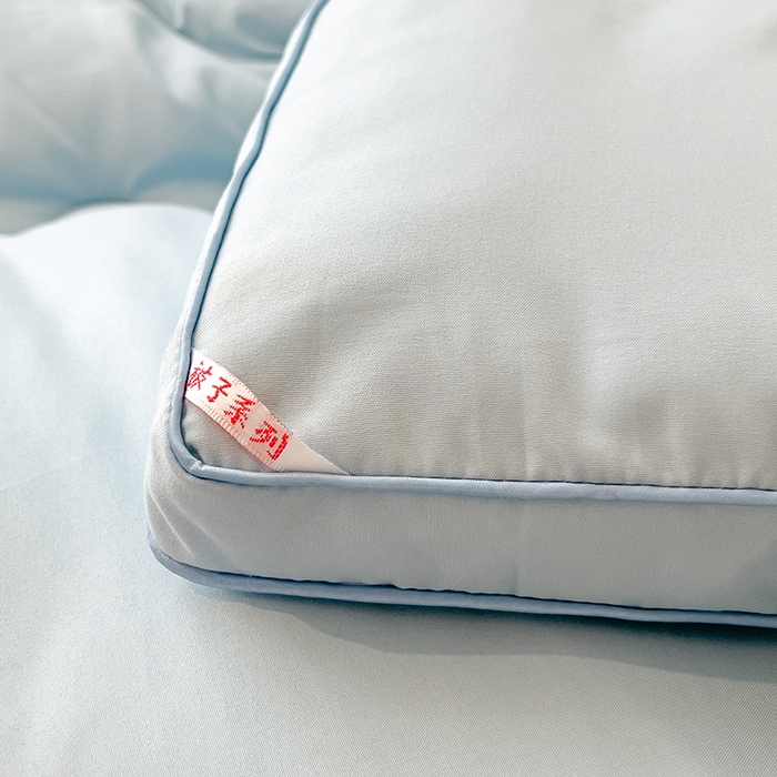 91家纺网 家纺一手货源 找家纺 丽莱美家纺 2026新款牛奶棉新疆羽丝绵被被子被芯-云柔系列 云柔-蓝