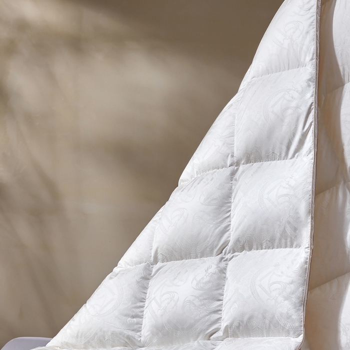 91家纺网 家纺一手货源 找家纺 织梦人羽绒工厂店 2025新款高蓬松羽绒羽毛被大牌同款花型-高精密提花系列 高精密提花-时尚语录-白