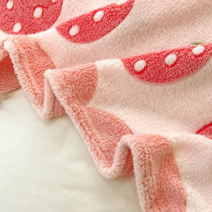 91家纺网 家纺一手货源 找家纺 （总）川悦生活 2025新款高克重双面雪花绒印花毛毯三件套