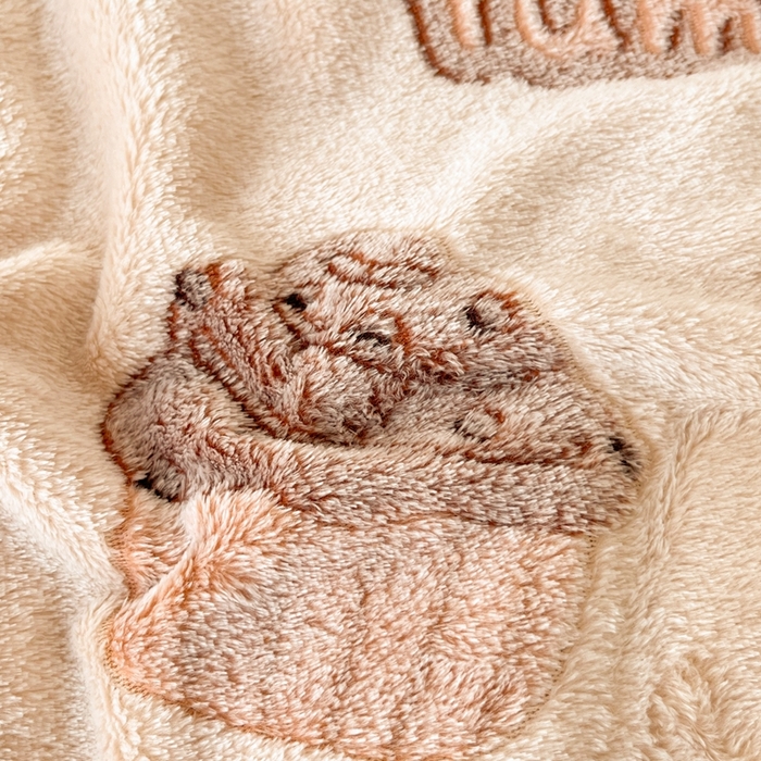 91家纺网 家纺一手货源 找家纺 川悦生活 2025新款高克重双面雪花绒印花毛毯三件套 毛毯巧克力熊