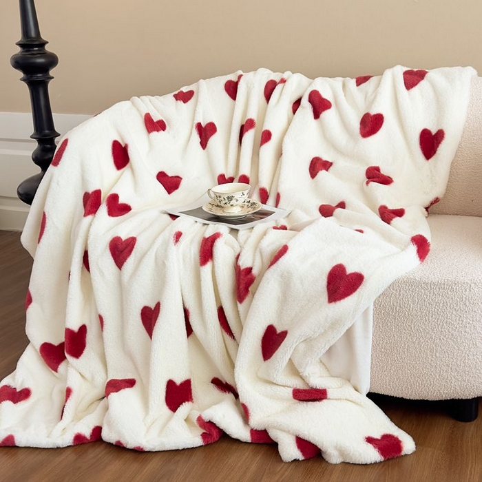 91家纺网 家纺一手货源 找家纺 （总）璐维斯 2025新款A类兔毛绒双层多功能被套毯带拉链 卡通花卉牛奶绒毛毯秋冬保暖毯子盖毯