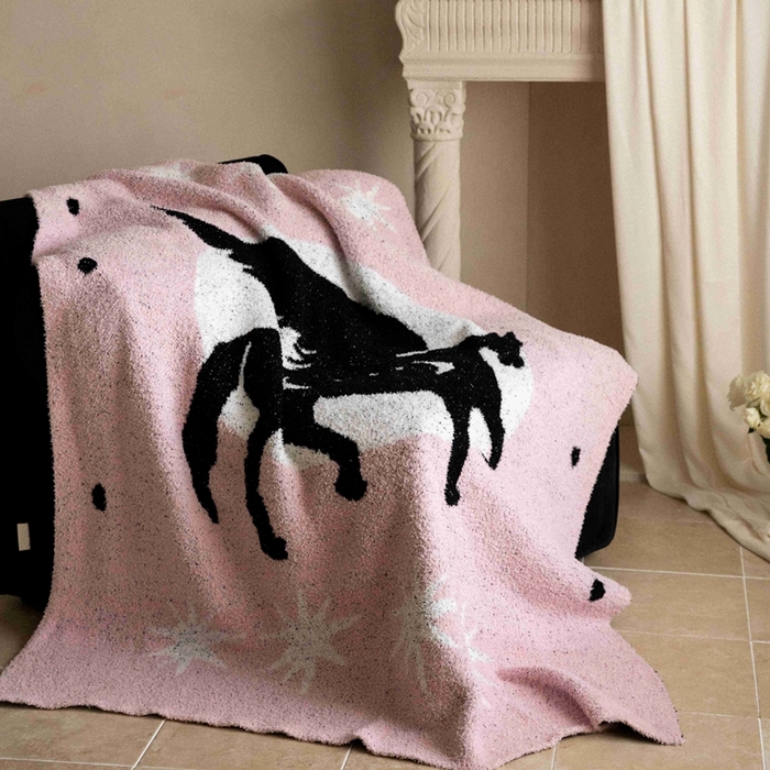 91家纺网 家纺一手货源 找家纺 圆岛家纺 2025新款高品质多功能针织半边绒毛毯毛毯毯子 飞马集