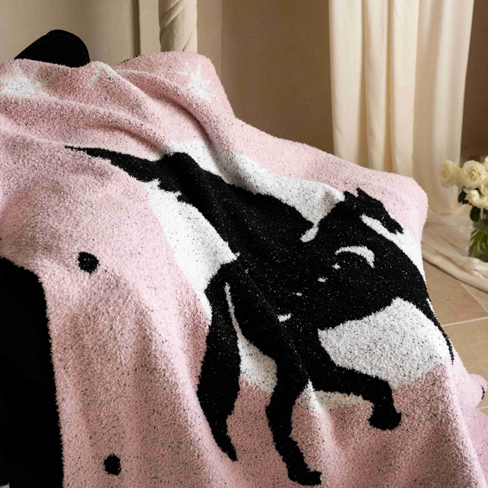 91家纺网 家纺一手货源 找家纺 圆岛家纺 2025新款高品质多功能针织半边绒毛毯毛毯毯子 飞马集