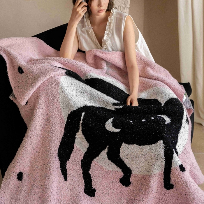 91家纺网 家纺一手货源 找家纺 圆岛家纺 2025新款高品质多功能针织半边绒毛毯毛毯毯子 飞马集