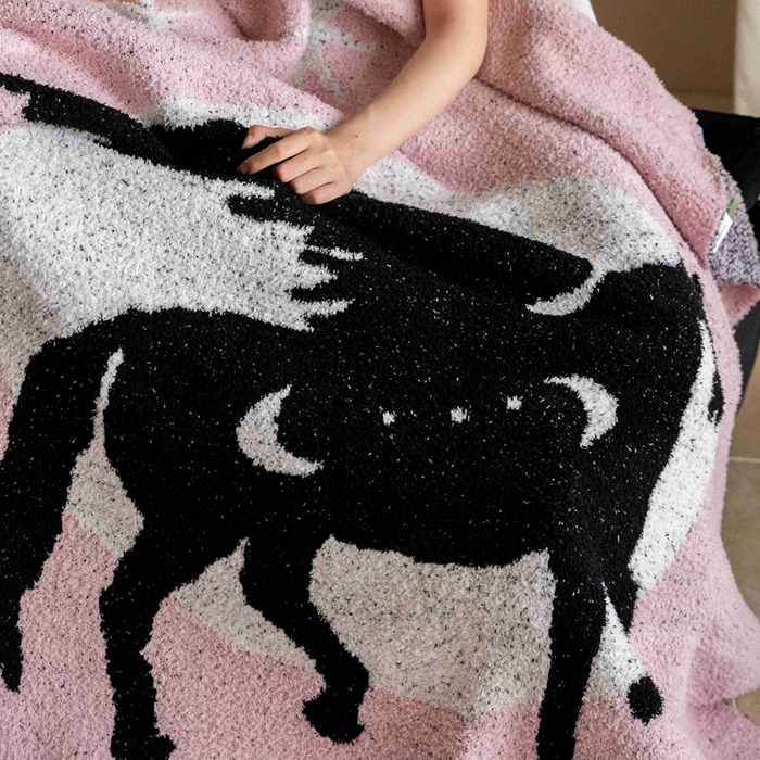 91家纺网 家纺一手货源 找家纺 圆岛家纺 2025新款高品质多功能针织半边绒毛毯毛毯毯子 飞马集