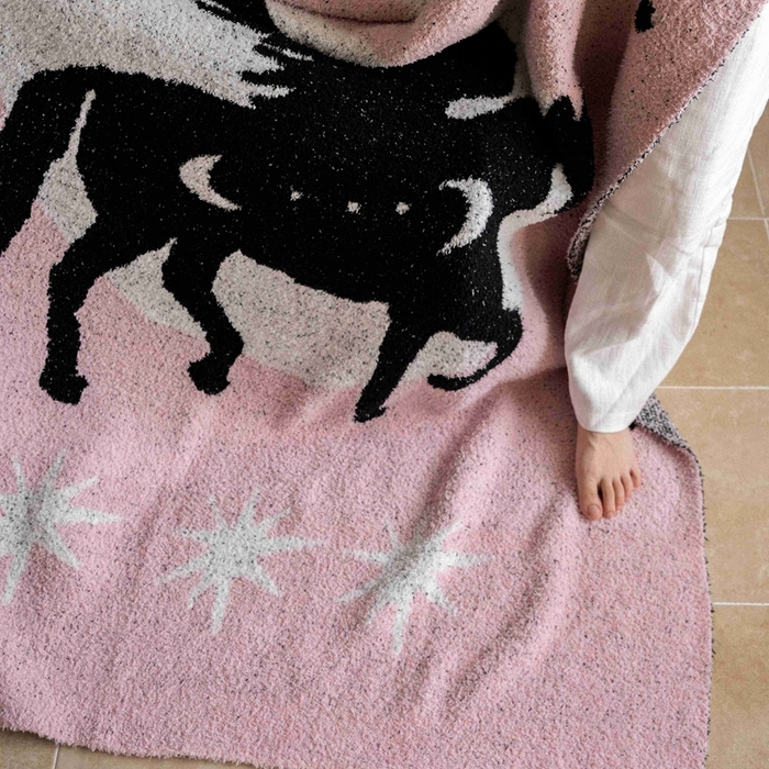 91家纺网 家纺一手货源 找家纺 圆岛家纺 2025新款高品质多功能针织半边绒毛毯毛毯毯子 飞马集