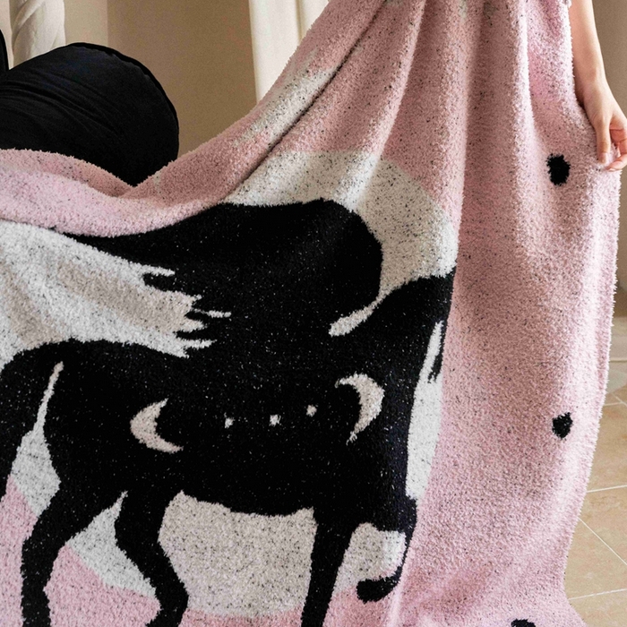 91家纺网 家纺一手货源 找家纺 圆岛家纺 2025新款高品质多功能针织半边绒毛毯毛毯毯子 飞马集