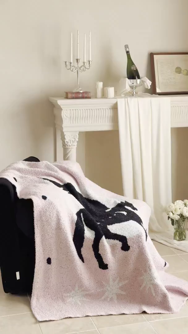 91家纺网 家纺一手货源 找家纺 圆岛家纺 2025新款高品质多功能针织半边绒毛毯毛毯毯子 飞马集