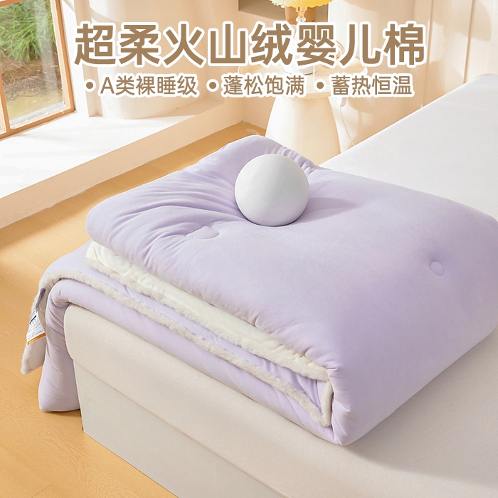亿莱鑫 2025新款A类超柔火山绒春秋被被子被芯冬被 奶昔紫