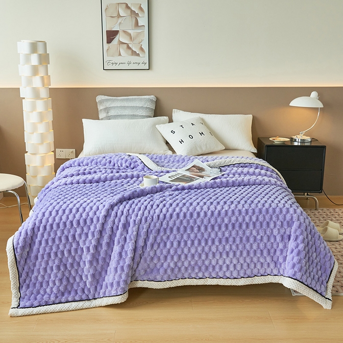 91家纺网 家纺一手货源 找家纺 （总）莱家富 2025新款跨境外贸金龟绒多功能毛毯高克重法莱绒牛奶绒保暖毛毯（支持抽空压缩，卷包）