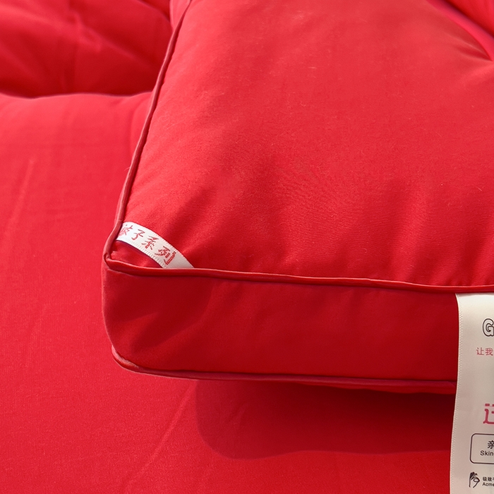 91家纺网 家纺一手货源 找家纺 丽莱美家纺 2025新款牛奶棉新疆羽丝绵被被子被芯-云柔系列 云柔-红