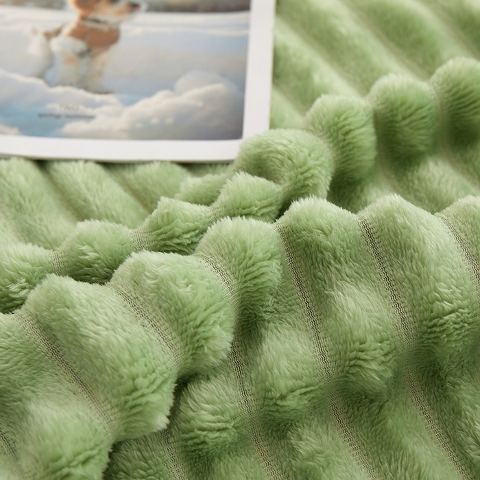 91家纺网 家纺一手货源 找家纺 楼兰公主毛毯专供 2025新款大抽条+羊羔绒绒毯盖毯毯子 双层大抽条+羊羔绒绒毯-果绿