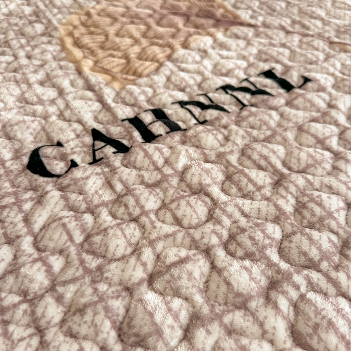 91家纺网 家纺一手货源 找家纺 首选家纺 2025新款直播热款双层蕾丝花边牛奶绒印花床盖四件套床盖单件三件套 梦想起航-咖