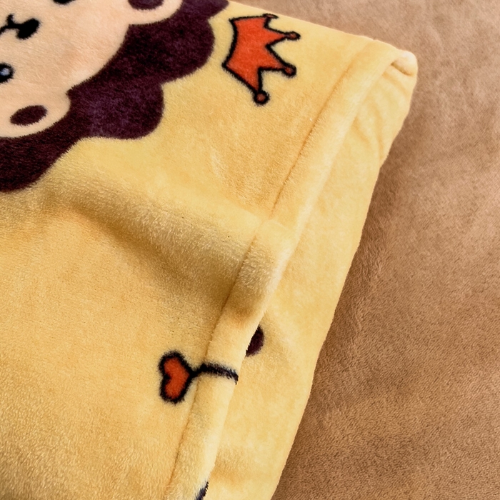 91家纺网 家纺一手货源 找家纺 鱼宝 2025新款小版牛奶绒幼儿园套件 小狮子