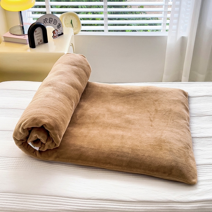 91家纺网 家纺一手货源 找家纺 鱼宝 2025新款牛奶绒可拆卸被套被芯幼儿园被子 小狮子