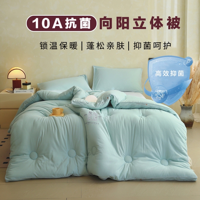91家纺网 家纺一手货源 找家纺 （总）宝士康家纺 2025新品10A抗菌立体向阳春秋被/冬被/被芯/跨境/外贸-金阙朝岚