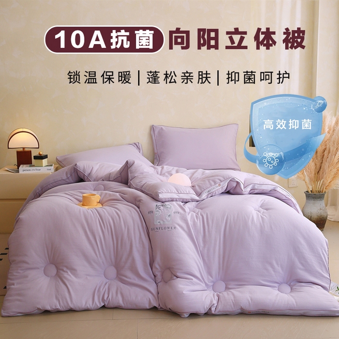 91家纺网 家纺一手货源 找家纺 （总）宝士康家纺 2025新品10A抗菌立体向阳春秋被/冬被/被芯/跨境/外贸-金阙朝岚
