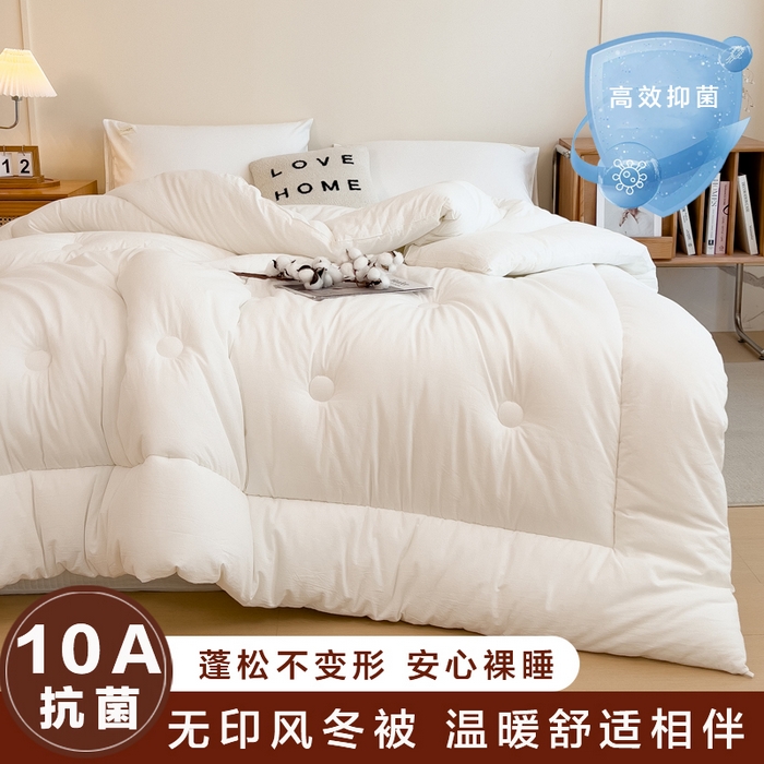 宝士康家纺 2025新品10A抗菌无印风学生季春秋被/被芯/跨境/外贸 白色
