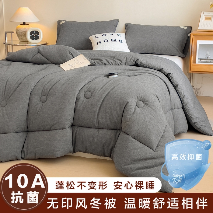 宝士康家纺 2025新品10A抗菌无印风学生季春秋被/被芯/跨境/外贸 低调灰