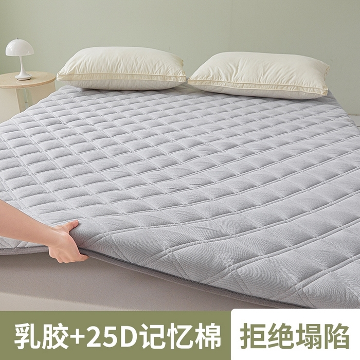 （总）丽诺 2024新款艾绒乳胶记忆棉三明治床垫5厘米