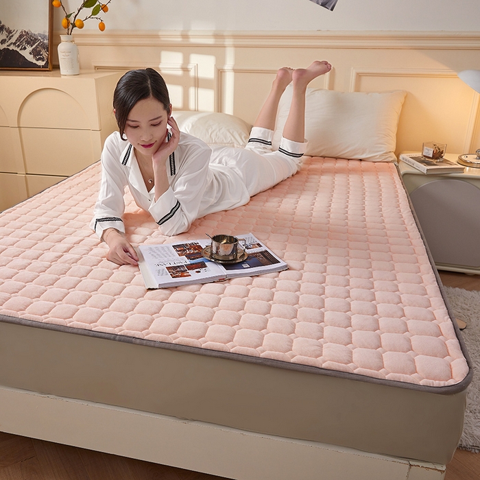 91家纺网 家纺一手货源 找家纺 （总）丽诺 2022新款宝宝绒防滑纯色床褥