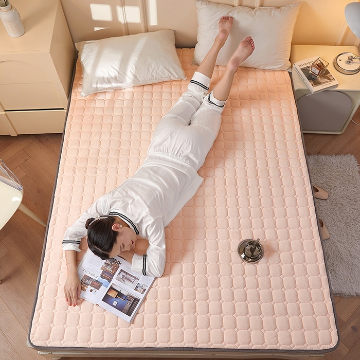 （总）丽诺 2022新款宝宝绒防滑纯色床褥