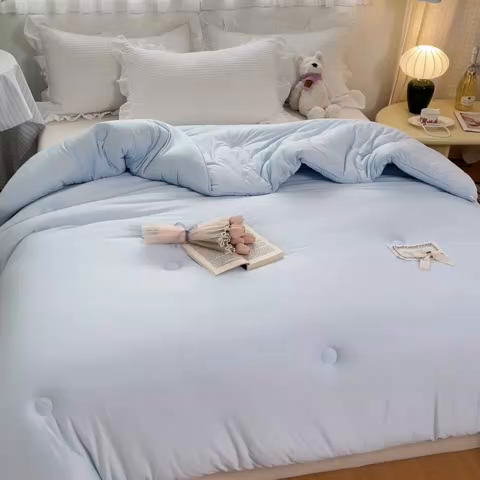 91家纺网 家纺一手货源 找家纺 （总）花满路 2025新款成人秋冬被子被芯