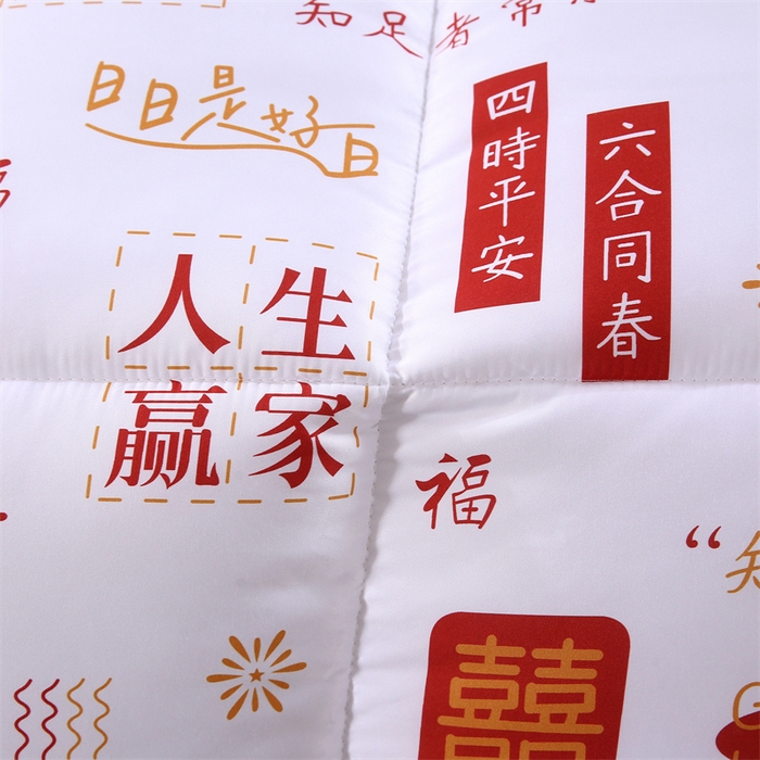 91家纺网 家纺一手货源 找家纺 好老表被业 2025新款印花羽丝绒冬被被子被芯 吉语满铺