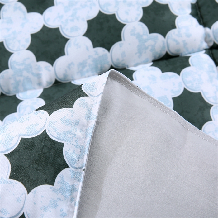 91家纺网 家纺一手货源 找家纺 好老表被业 2025新款印花羽丝绒冬被被子被芯 四叶星韵