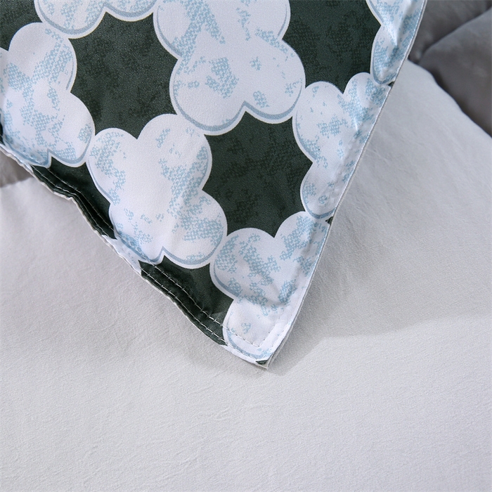 91家纺网 家纺一手货源 找家纺 好老表被业 2025新款印花羽丝绒冬被被子被芯 四叶星韵