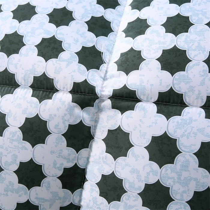 91家纺网 家纺一手货源 找家纺 好老表被业 2025新款印花羽丝绒冬被被子被芯 四叶星韵