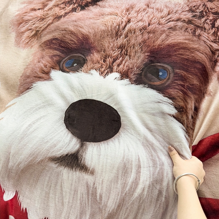 91家纺网 家纺一手货源 找家纺 宝薇 2025新款5D数码印染大卡通牛奶绒四件套 汪星人