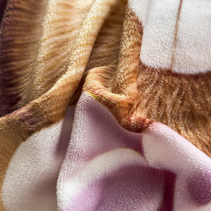 91家纺网 家纺一手货源 找家纺 宝薇 2025新款5D数码印染大卡通牛奶绒四件套 小时光