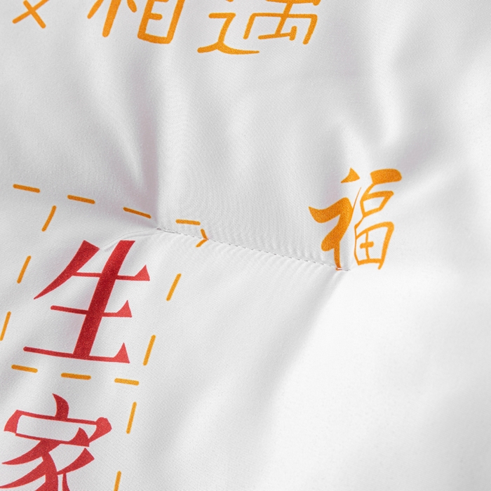 91家纺网 家纺一手货源 找家纺 好老表被业 2025新款印花云朵棉冬被四季被被子被芯 吉语满铺