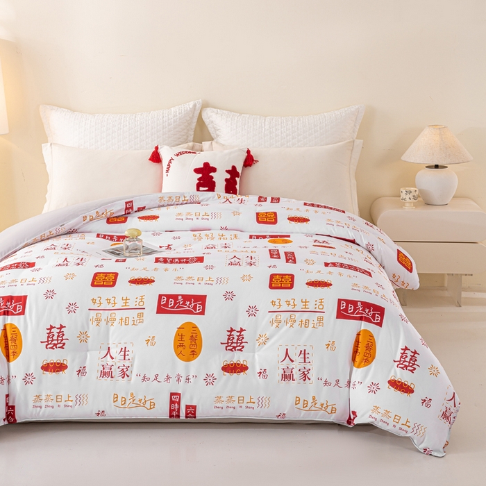 91家纺网 家纺一手货源 找家纺 好老表被业 2025新款印花云朵棉冬被四季被被子被芯 吉语满铺