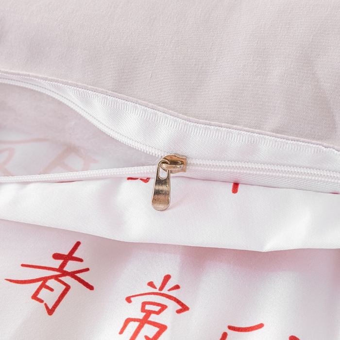 91家纺网 家纺一手货源 找家纺 好老表被业 2025新款印花云朵棉冬被四季被被子被芯 吉语满铺