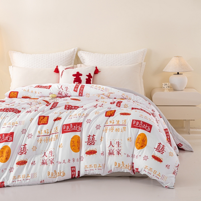 91家纺网 家纺一手货源 找家纺 好老表被业 2025新款印花云朵棉冬被四季被被子被芯 吉语满铺