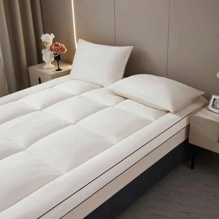 91家纺网 家纺一手货源 找家纺 （总）小叮当家纺仓储工厂店 2025新款加厚立体整张棉酒店学生床垫抗菌云尚亲肤软床垫垫子