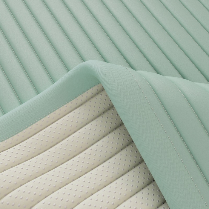 91家纺网 家纺一手货源 找家纺 缔莱（十三铭）被业 2025新款A类新疆水洗棉花床垫床护垫 新疆棉花软垫-绿色