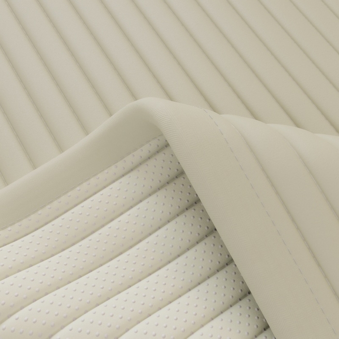 91家纺网 家纺一手货源 找家纺 缔莱（十三铭）被业 2025新款A类新疆水洗棉花床垫床护垫 新疆棉花软垫-米色