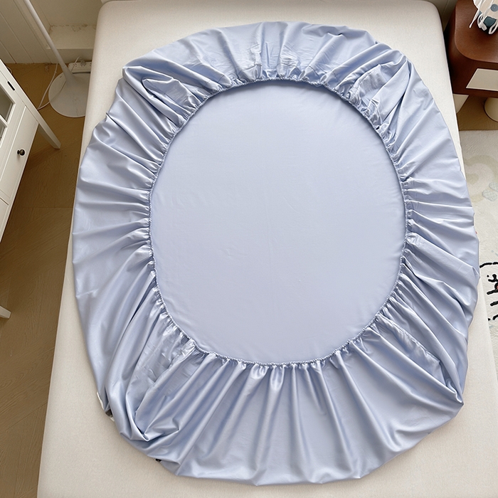 91家纺网 家纺一手货源 找家纺 寐居家纺 2025新款A类100支长绒棉毛巾绣床笠三件套 蓝色修狗