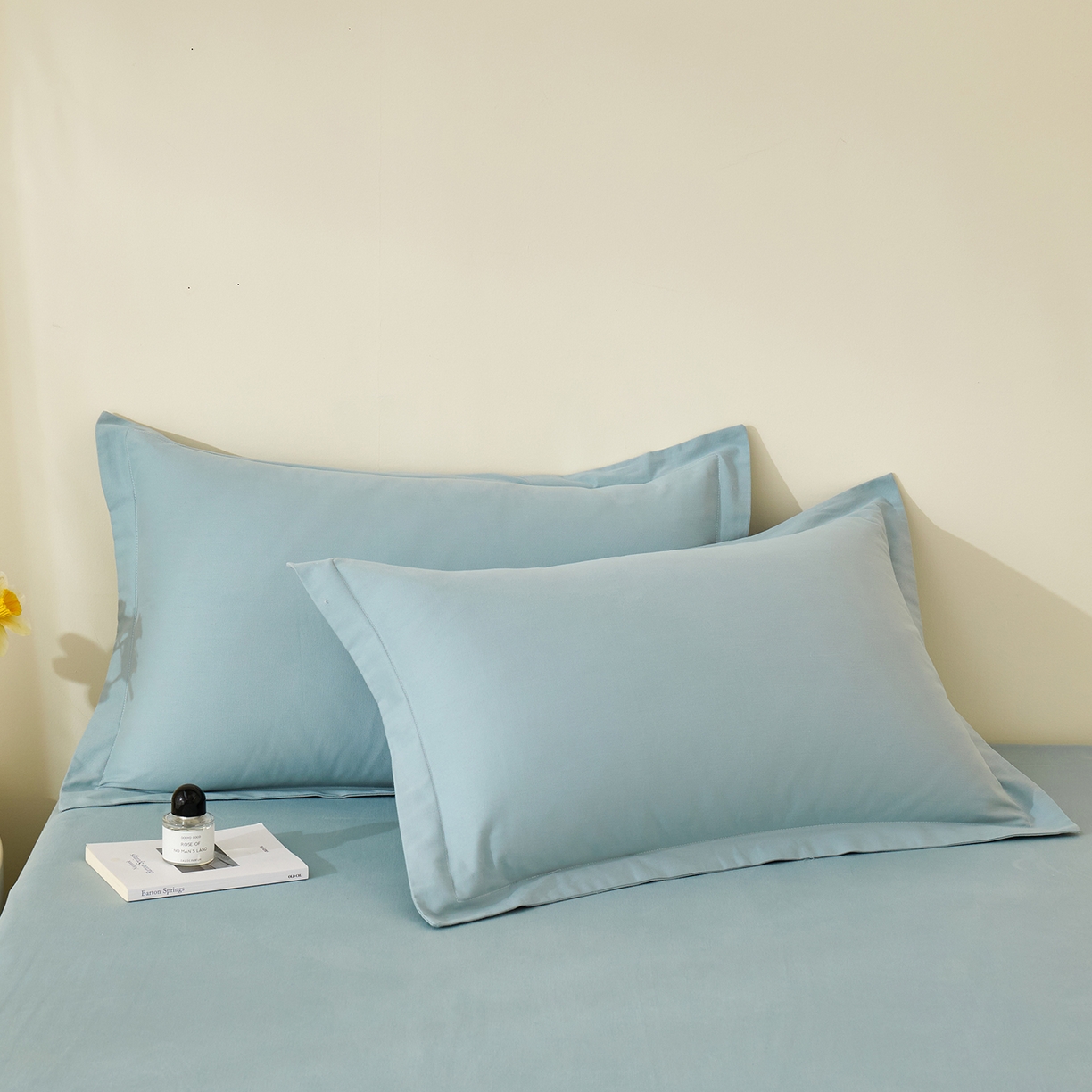 91家纺网 家纺一手货源 找家纺 元元家居（元元被业） 2025新款全棉纯棉磨毛纯色单床单 丹青